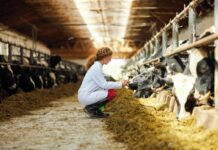 Zoetis apre la seconda edizione del Premio “Allevamento al Femminile”