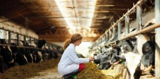Zoetis apre la seconda edizione del Premio “Allevamento al Femminile”