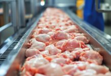 Il ruolo del G20 nella produzione e nel commercio mondiale di carne. Parte 3: importazioni mondiali di carne