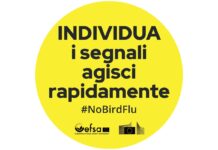 #NoBirdFlu: l’EFSA e la Commissione europea mettono a disposizione strumenti pratici per ridurre il rischio di influenza aviaria
