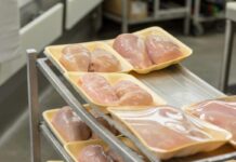 Il ruolo del G20 nella produzione e nel commercio mondiale di carne. Parte 4: commercio fra Stati membri