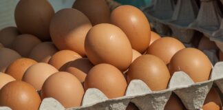 La produzione e la domanda di uova in italia salgono secondo l’ultimo report ISMEA