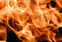 Incendio devasta allevamento avicolo nell’Ennese: distrutti tre capannoni, perse oltre 300mila galline ovaiole