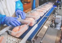 La produzione di carne di pollo nell’UE verso i 13 milioni di tonnellate nel 2027