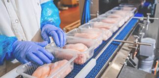 La produzione di carne di pollo nell’UE verso i 13 milioni di tonnellate nel 2027
