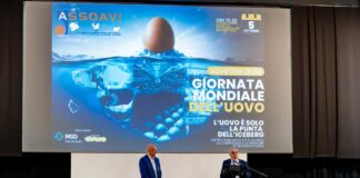 Uova, una filiera da 3,7 miliardi di euro: Assoavi, in collaborazione con Eurovo e MSD, rilancia il dialogo tra imprese e istituzioni e si fa portavoce del comparto