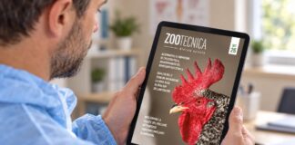 Zootecnica di settembre 2026 è online: sfoglia la rivista Zootecnica rivista avicola